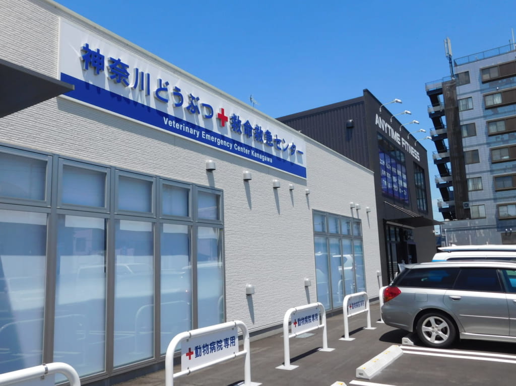動物病院