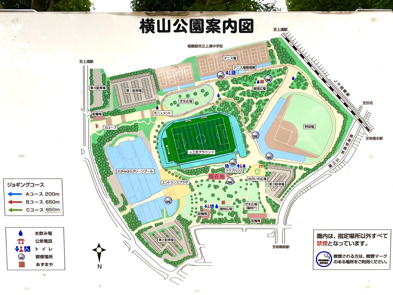 よこはまオータムフェスタ2024が横山公園で開催されます