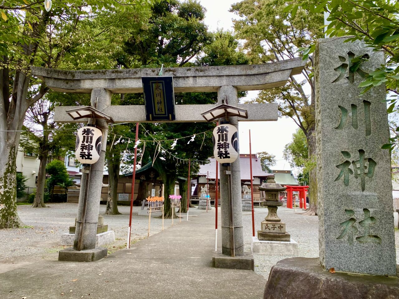 2024年七五三詣やご祈祷ができる中央区内の複数神社をまとめました。