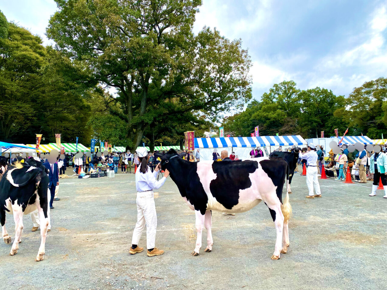 第６０回相模原農業まつりが2024年11月10日に淵野辺公園で開催されました。