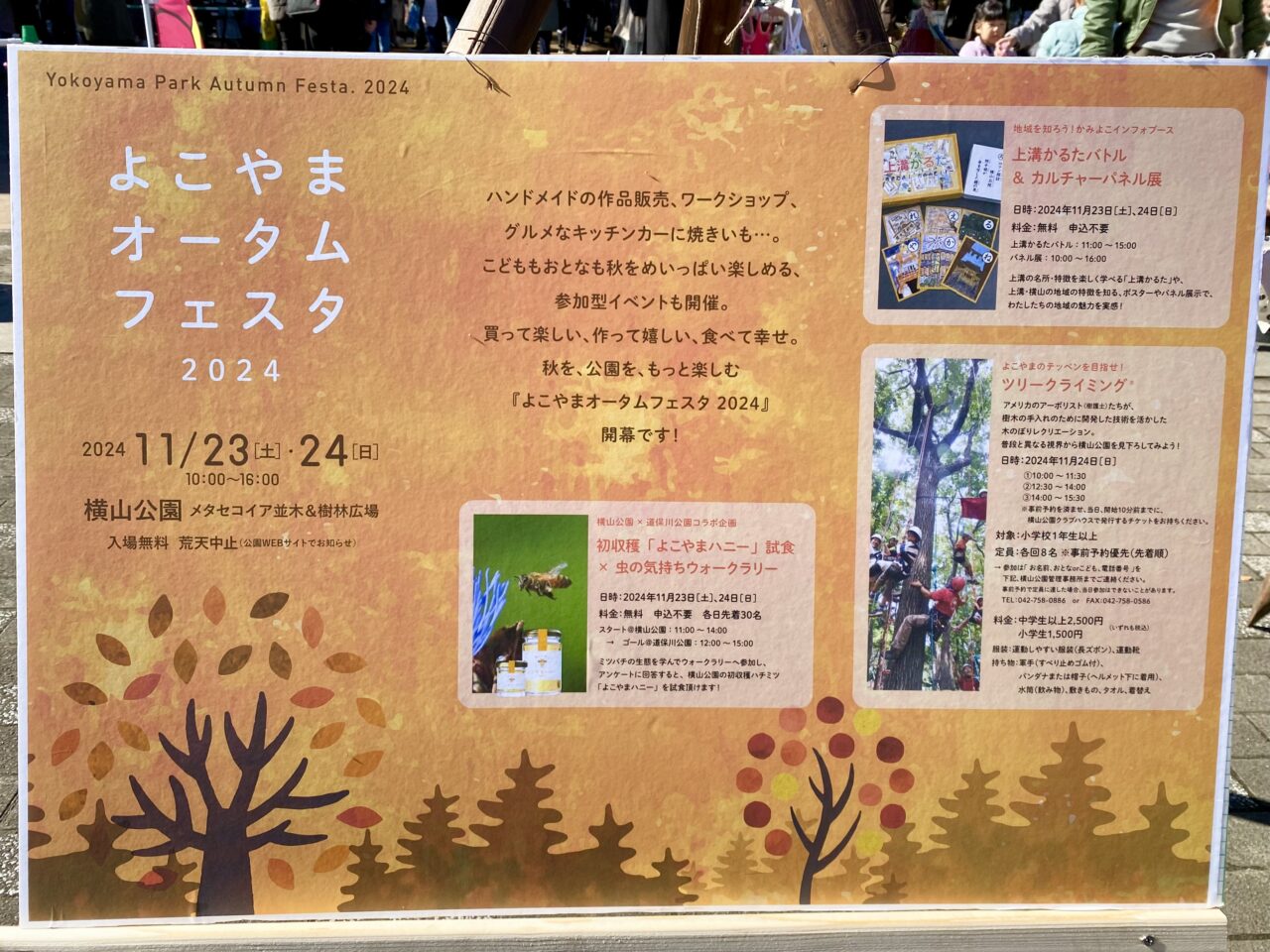 おいもグルメがずらり！「よこやまオータムフェスタ2024」が横山公園にて開催