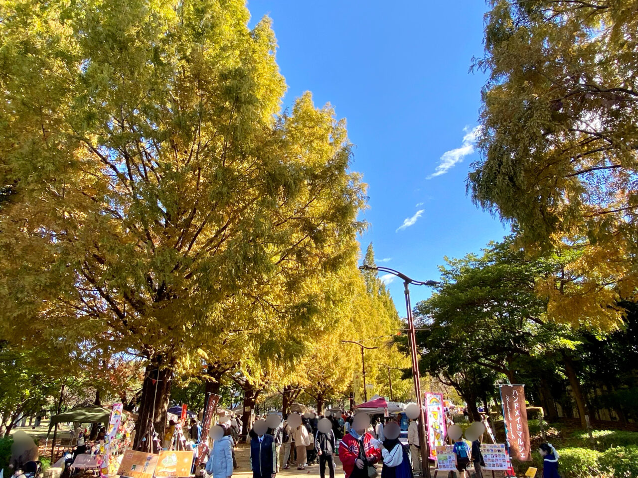 おいもグルメがずらり!「よこやまオータムフェスタ2024」が横山公園にて開催