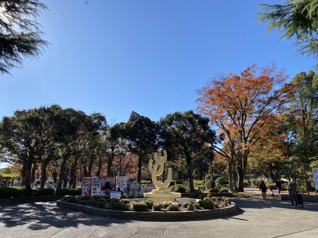 2024年11月下旬、鹿沼公園の紅葉が見ごろを迎えています。