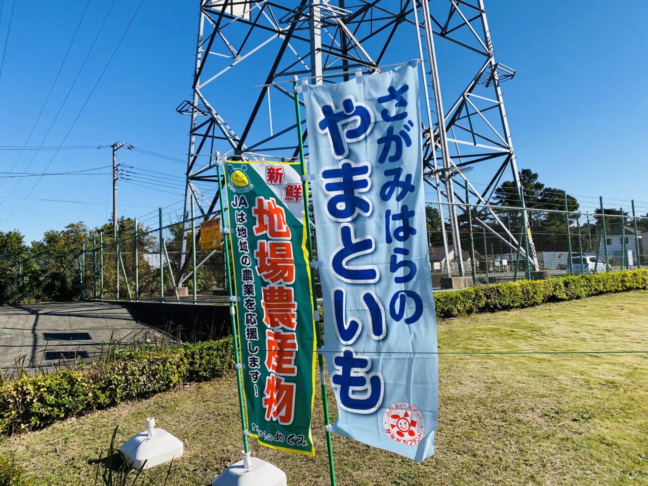 2024年12月6日〜8日、青葉3丁目にある「ベジたべーな」にて「ベジたべーな11周年大収穫祭」が開催されます