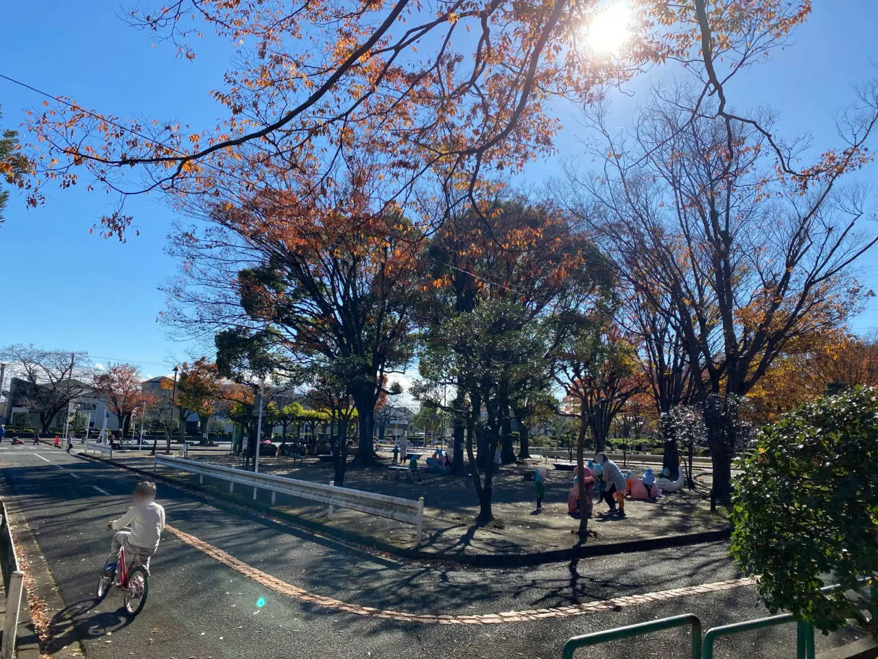 2024年11月末、鹿沼公園で紅葉が見頃を迎えています。