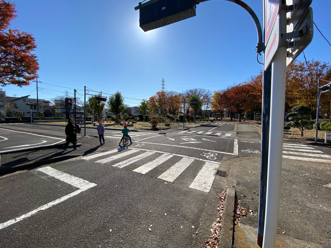 鹿沼公園で紅葉が見ごろを迎えています