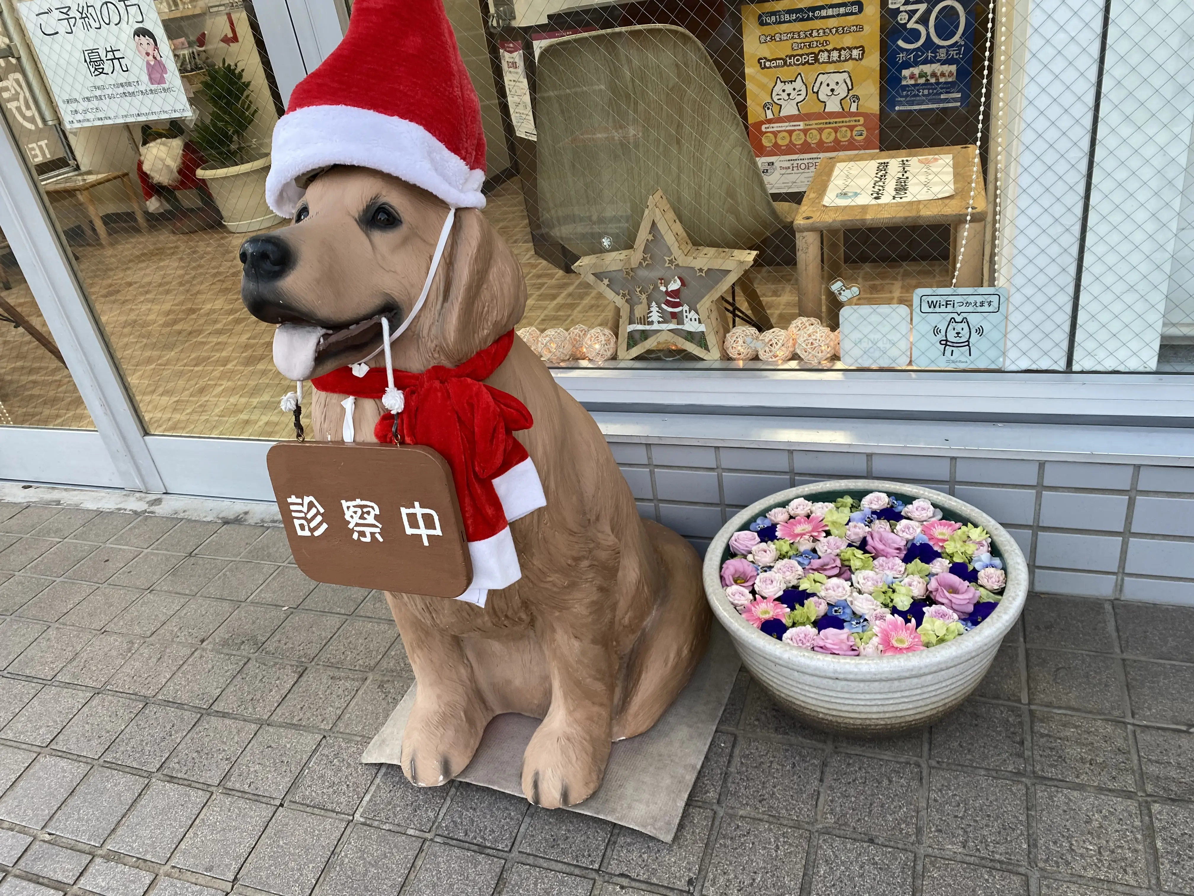 相模原市中央区、「イルミネーション×中央区花手水」コラボイベントが始まっています！12/25まで。オリジナルコースターももらえます！