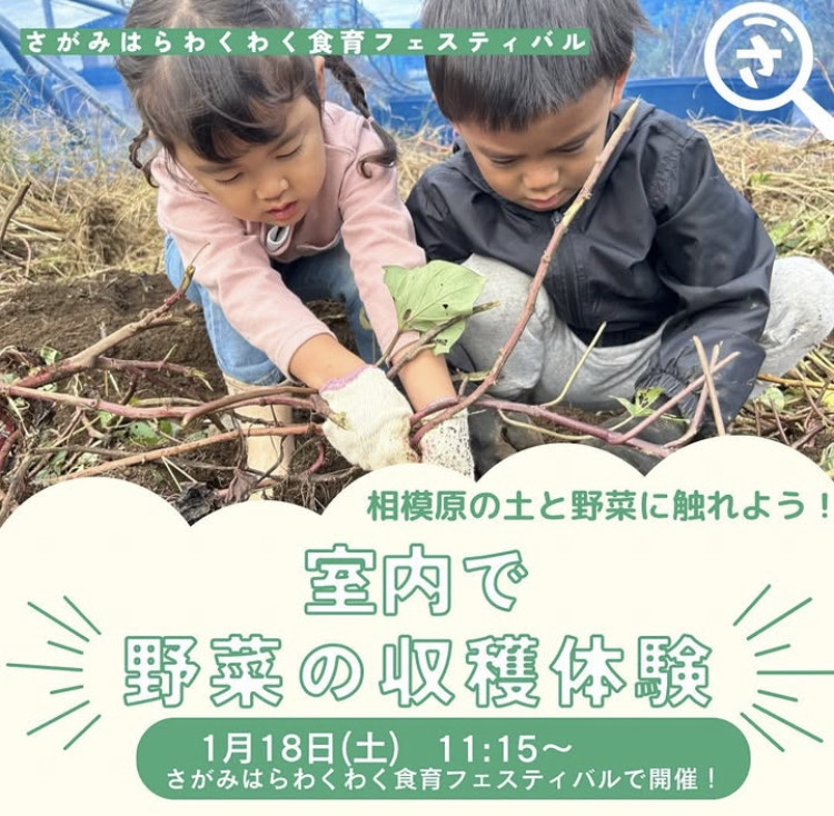 2025年1月18日、相模原市立産業会館多目的ホールにて「さがみはらわくわく食育フェスティバル」が開催されます！