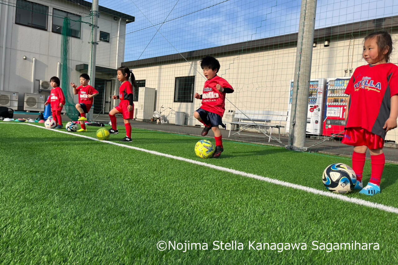 2025年1月19日(日)横山公園にてよこやまスポーツフェスティバルが開催されます。肉グルメも