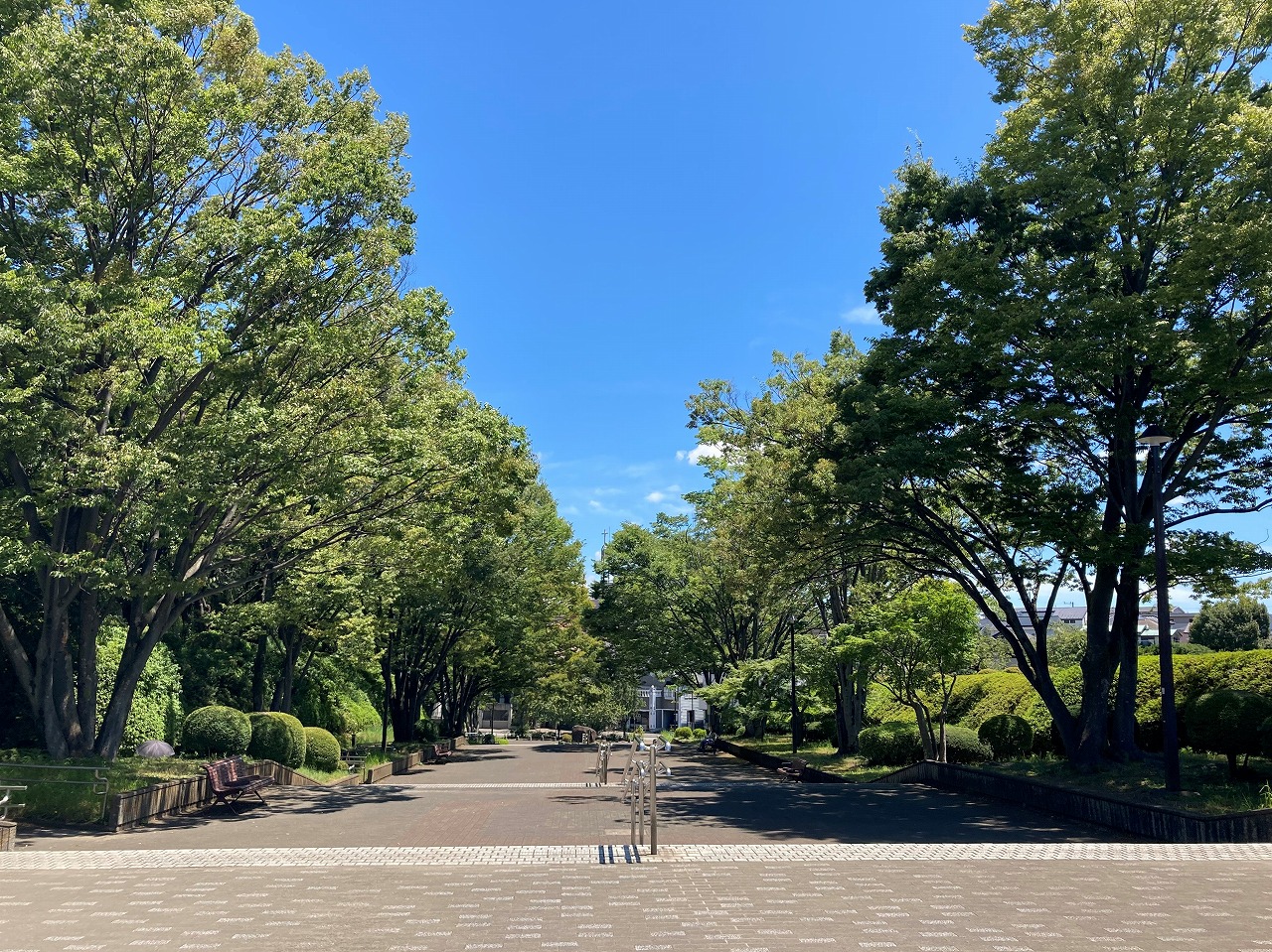 2025年1月19日(日)横山公園にてよこやまスポーツフェスティバルが開催されます。肉グルメも