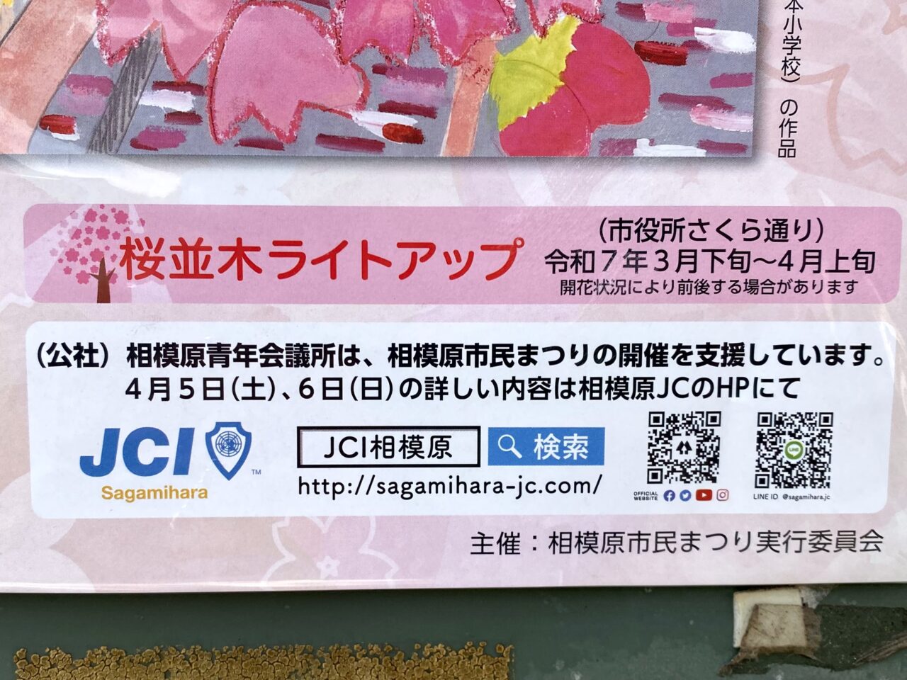 【相模原市中央区】「第52回相模原市民桜まつり」が4/5(土)と4/6日に開催決定！公式サイトにて開催概要が発表されました