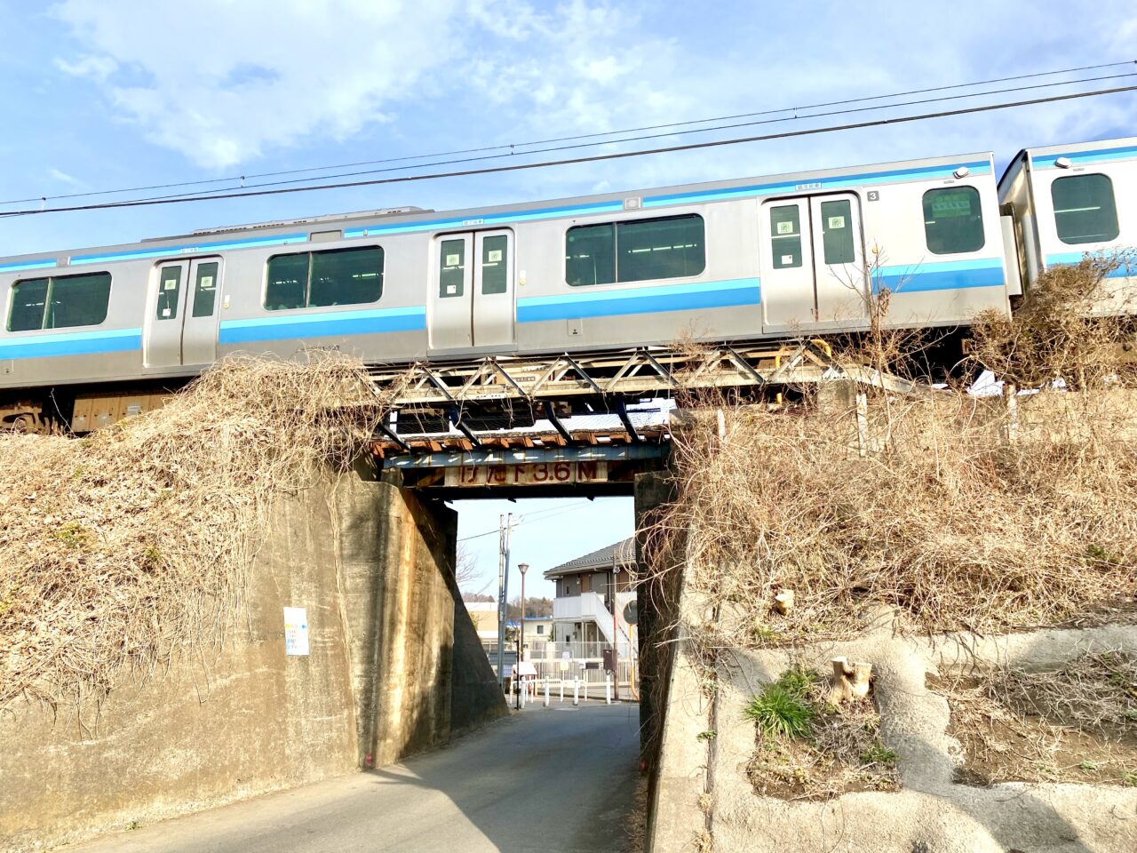 【相模原市中央区】まるで桜の博物館！「上溝さくら公園」では39種類の桜を順次楽しめます。3/8には「上溝さくらまつり」も開催