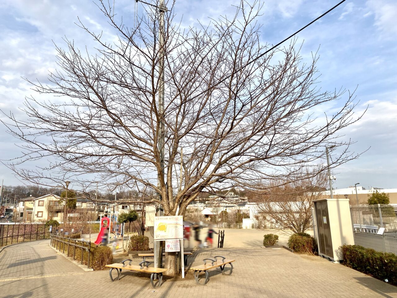 【相模原市中央区】今年も「上溝イルミネーション」が上溝さくら公園を照らします!12/13(土)に点灯セレモニーが開催