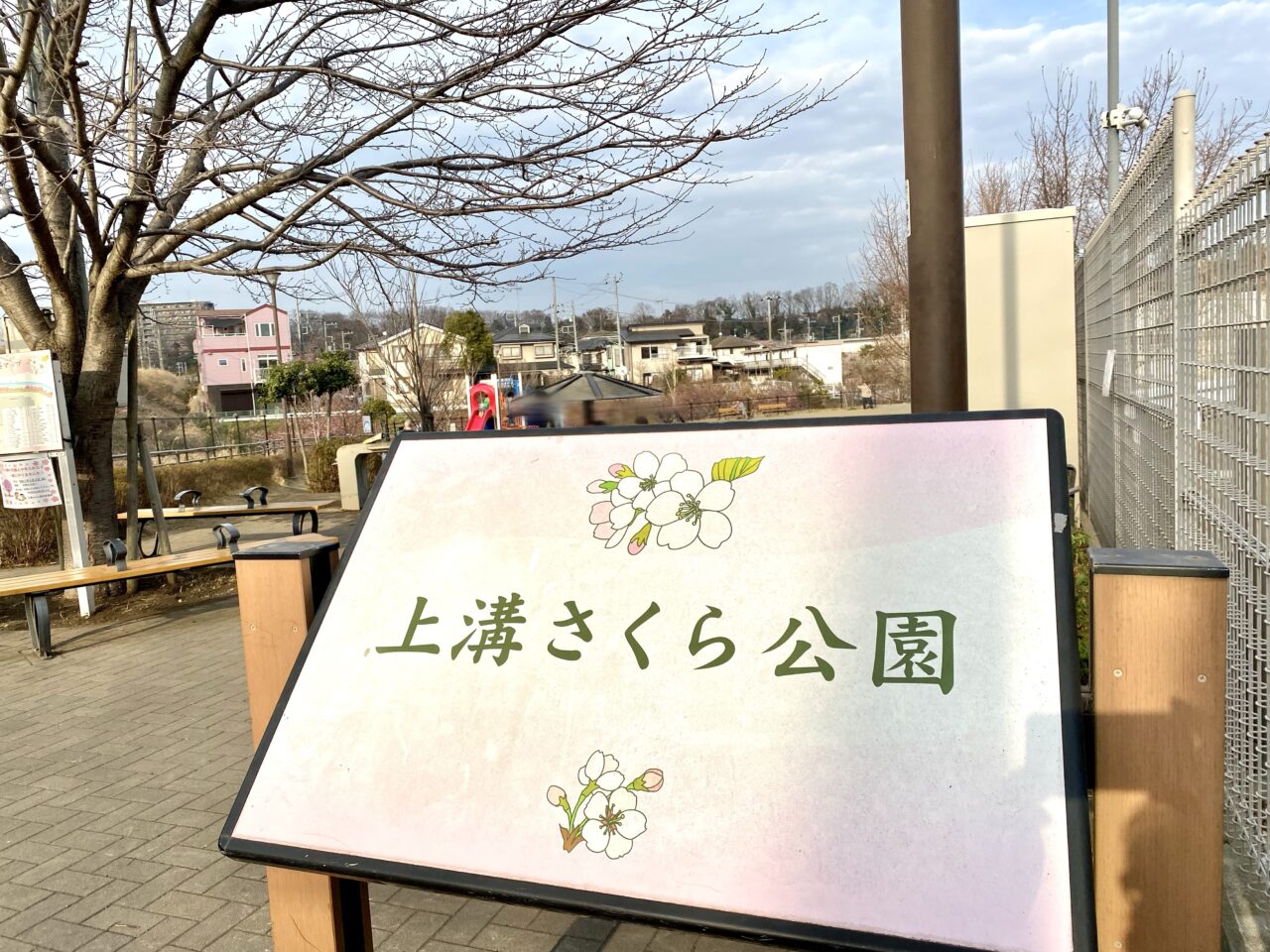 【相模原市中央区】まるで桜の博物館！「上溝さくら公園」では39種類の桜を順次楽しめます。3/8には「上溝さくらまつり」も開催