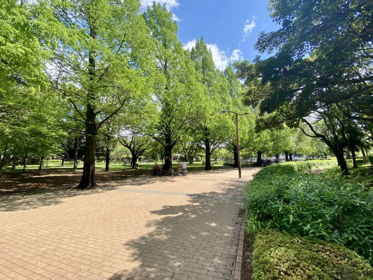 【相模原市中央区】世界ミツバチの日にあわせ横山公園にて5/17(土)・18(日)の2日間「よこやま み~つ フェスタ」が開催されます!よこやまハニーの先行販売も