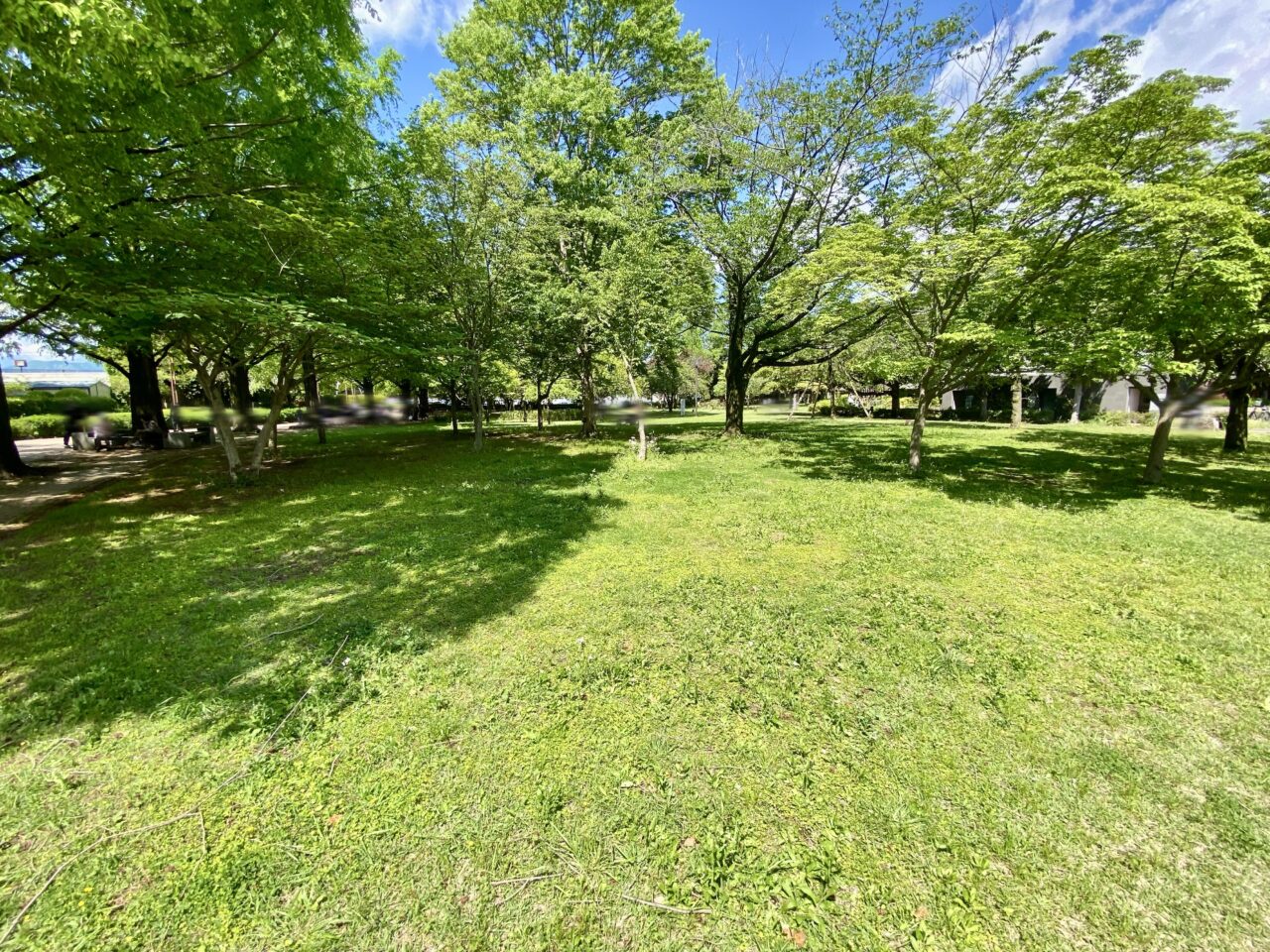 【相模原市中央区】世界ミツバチの日にあわせ横山公園にて5/17(土)・18(日)の2日間「よこやま み~つ フェスタ」が開催されます!よこやまハニーの先行販売も