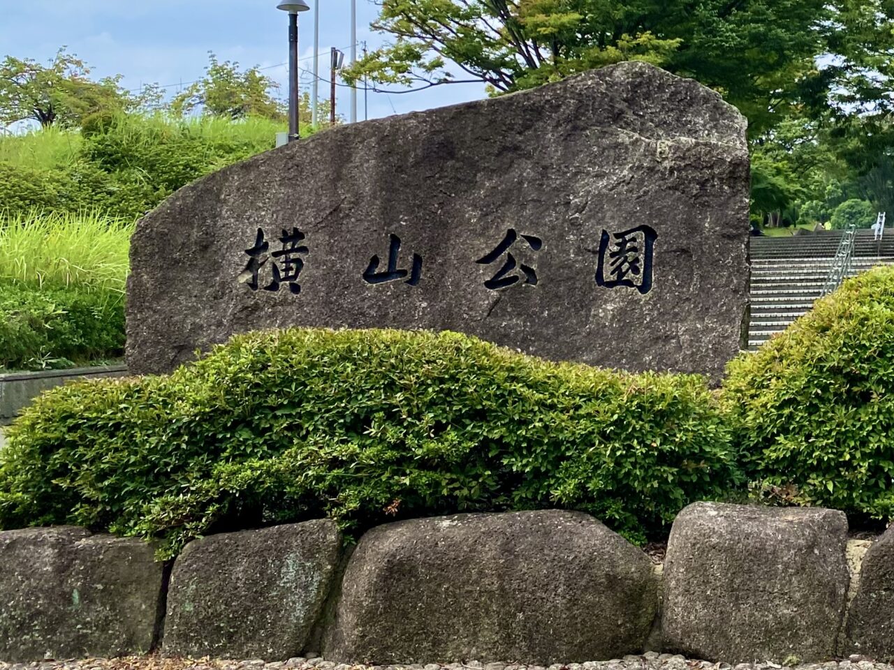 【相模原市中央区】2025年初夏、区内の公園でゆっくりお散歩してみませんか？サツキなど季節の花が新緑とあわせ楽しめます