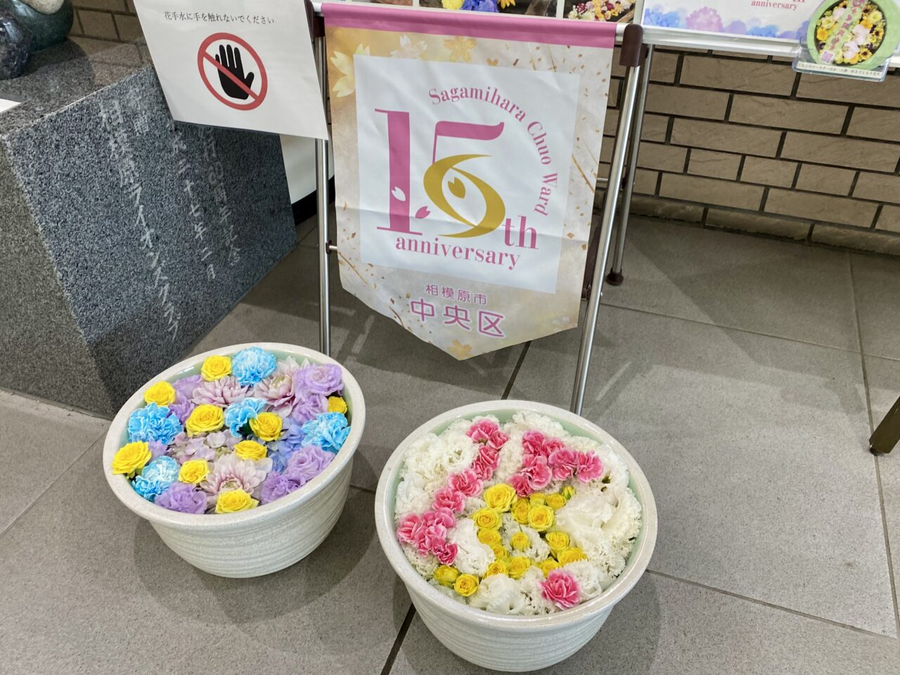 【相模原市中央区】今年2025年の「あじさい×中央区花手水」もうご覧になりましたか？中央区誕生15周年記念ロゴマークの花手水も。6/27(金)まで