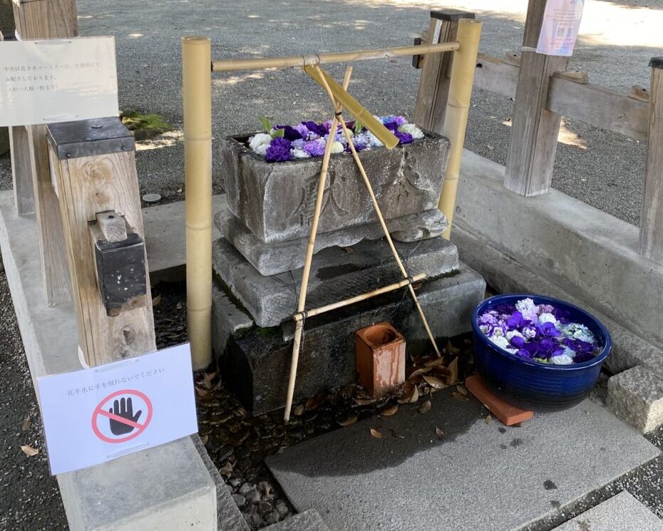 【相模原市中央区】「あじさい×中央区花手水」もうご覧になりましたか？中央区誕生15周年記念ロゴマークをモチーフにした花手水も！6/27(金)まで