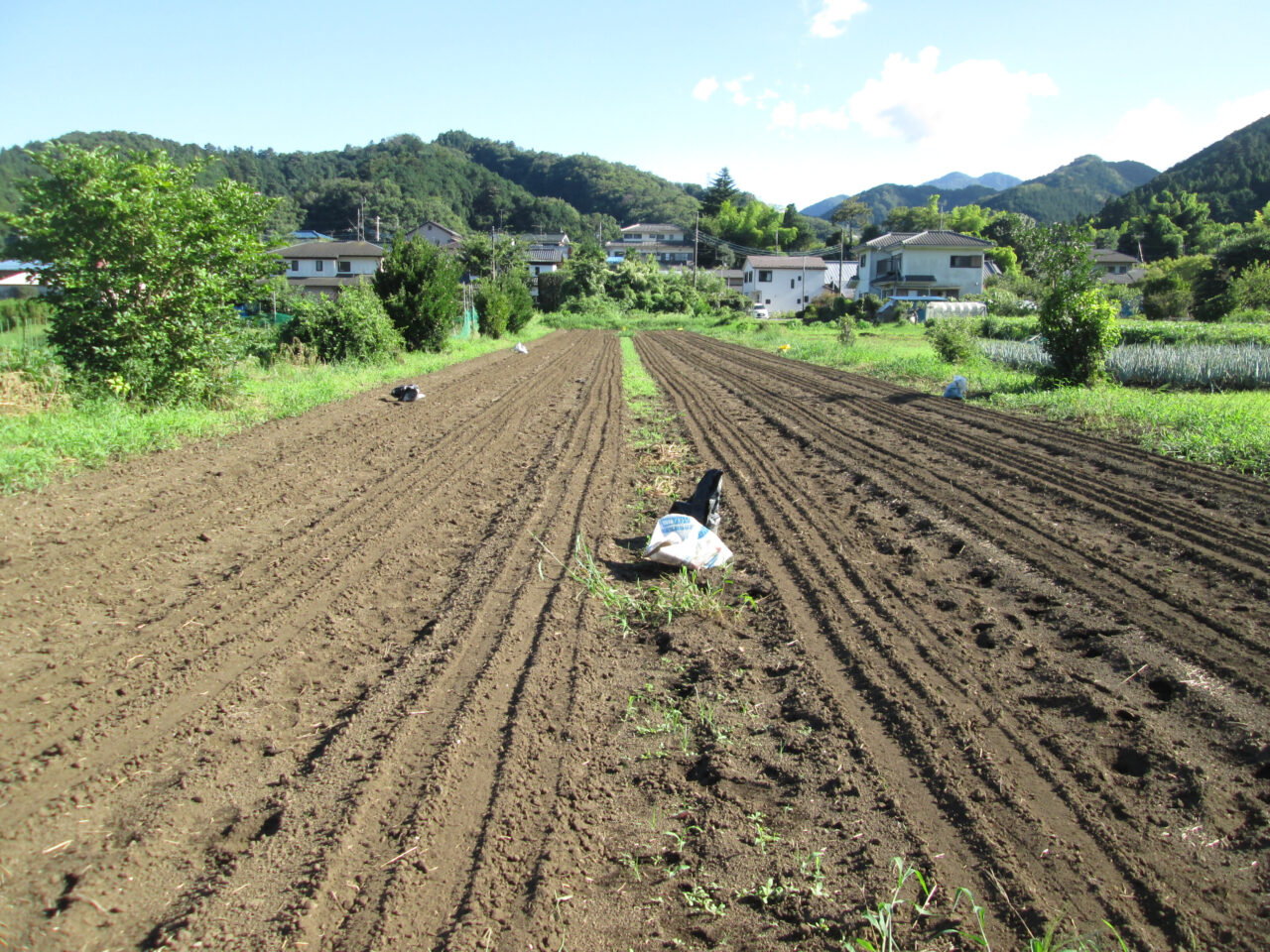 【相模原市中央区】オーガニックビレッジ宣言をした相模原市が7/6(日)・7/27(日)マルシェを開催! 会場はフチノベース