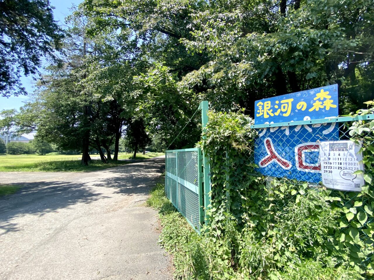 【相模原市中央区】夏休みに楽しもう！7/30(水)「どろんこパーク」が銀河の森で開催！中学生以下対象・予約不要・無料