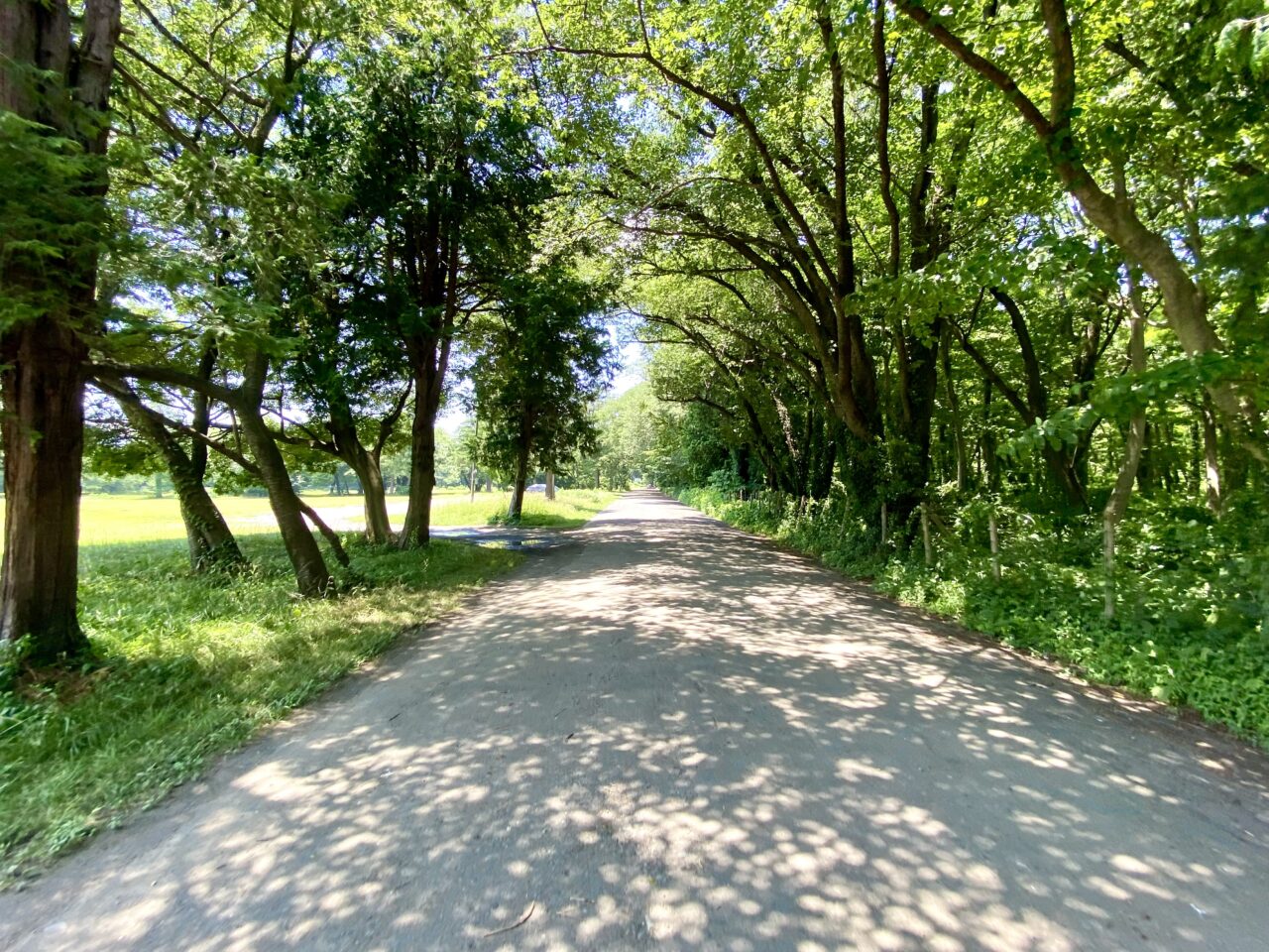 【相模原市中央区】夏休みに楽しもう！7/30(水)「どろんこパーク」が銀河の森で開催！中学生以下対象・予約不要・無料