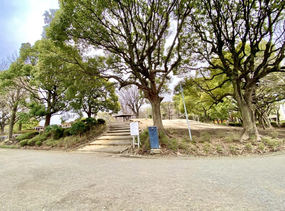 鹿沼公園の様子