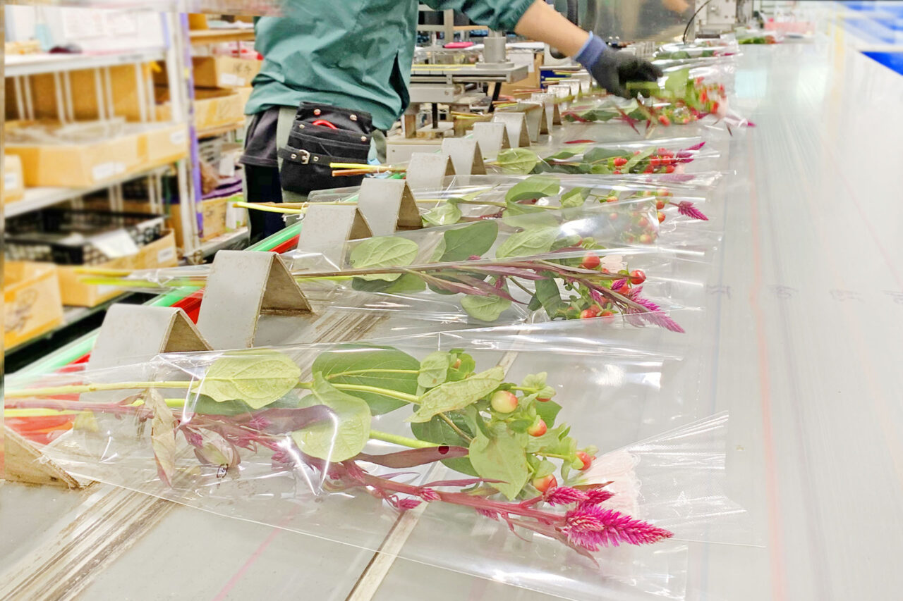 【相模原市中央区】相模原市上溝発 花のセルフ売場の草分け企業「メルシーフラワー」は今年2025年で創業50周年