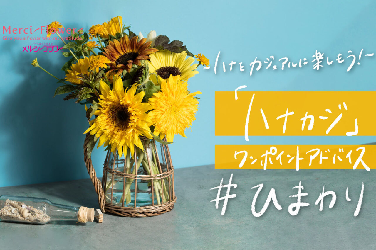 【相模原市中央区】相模原市上溝発 花のセルフ売場の草分け企業「メルシーフラワー」は今年2025年で創業50周年