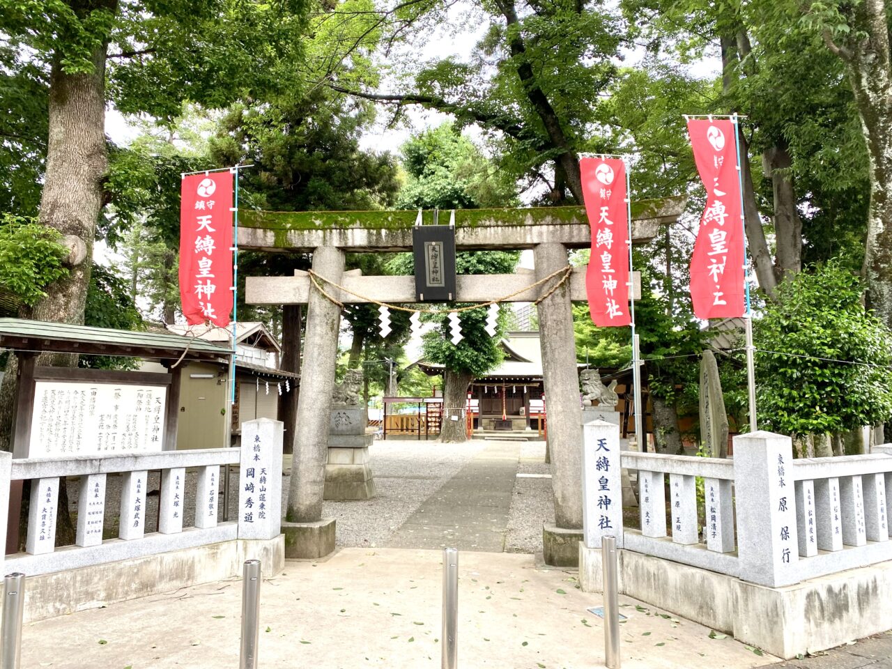 【相模原市中央区】境川近くで工事中の「宮下横山線」が2025年9月27日に開通します! 開通前の現地の様子をレポート