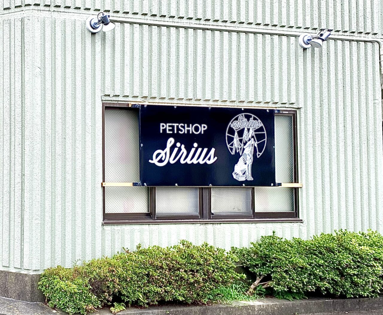 【相模原市中央区】中央5丁目の住宅街に爬虫類専門ペットショップ「Sirius」が9/6(土)にオープンしました！