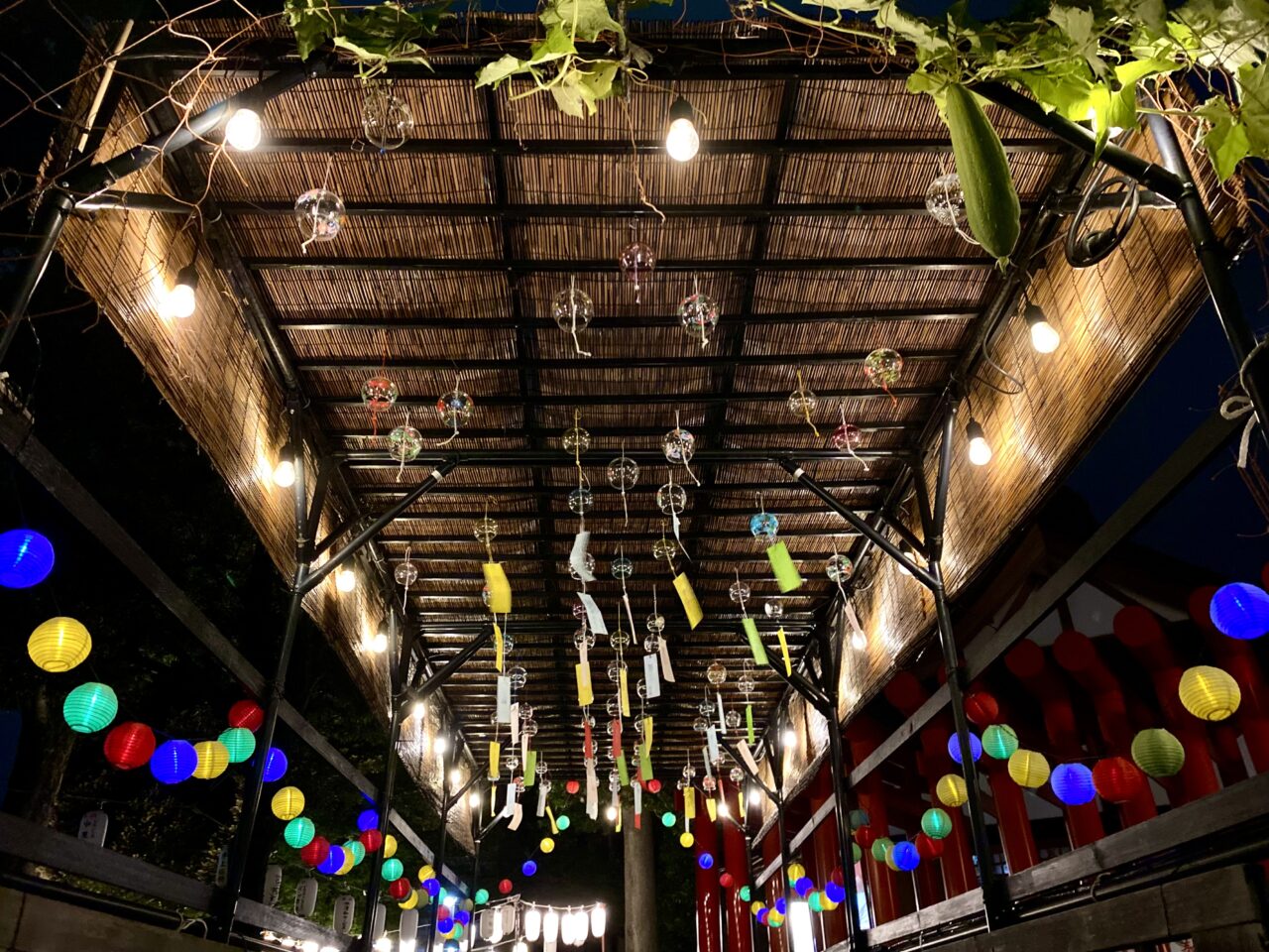 【相模原市中央区】「相模原 氷川神社」の例祭が8/23に開催されます　夜はライトアップされた涼やかなスポットも登場