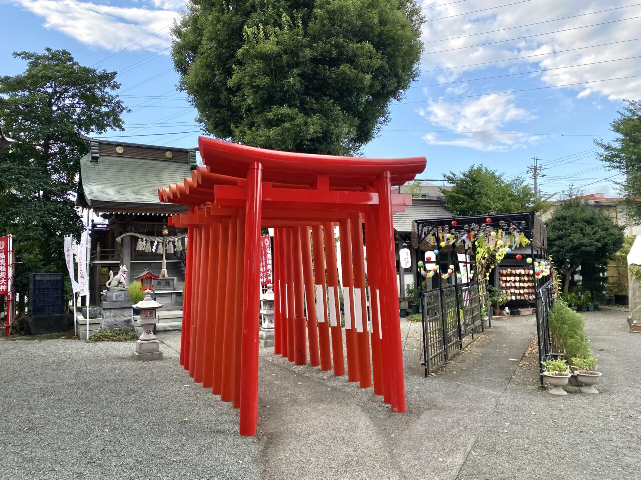 【相模原市中央区】「相模原 氷川神社」の例祭が8/23に開催されます　夜はライトアップされた涼やかなスポットも登場