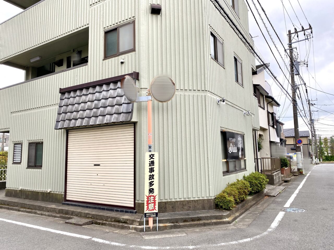 【相模原市中央区】中央5丁目の住宅街に爬虫類専門ペットショップ「Sirius」が9/6(土)にオープンしました!