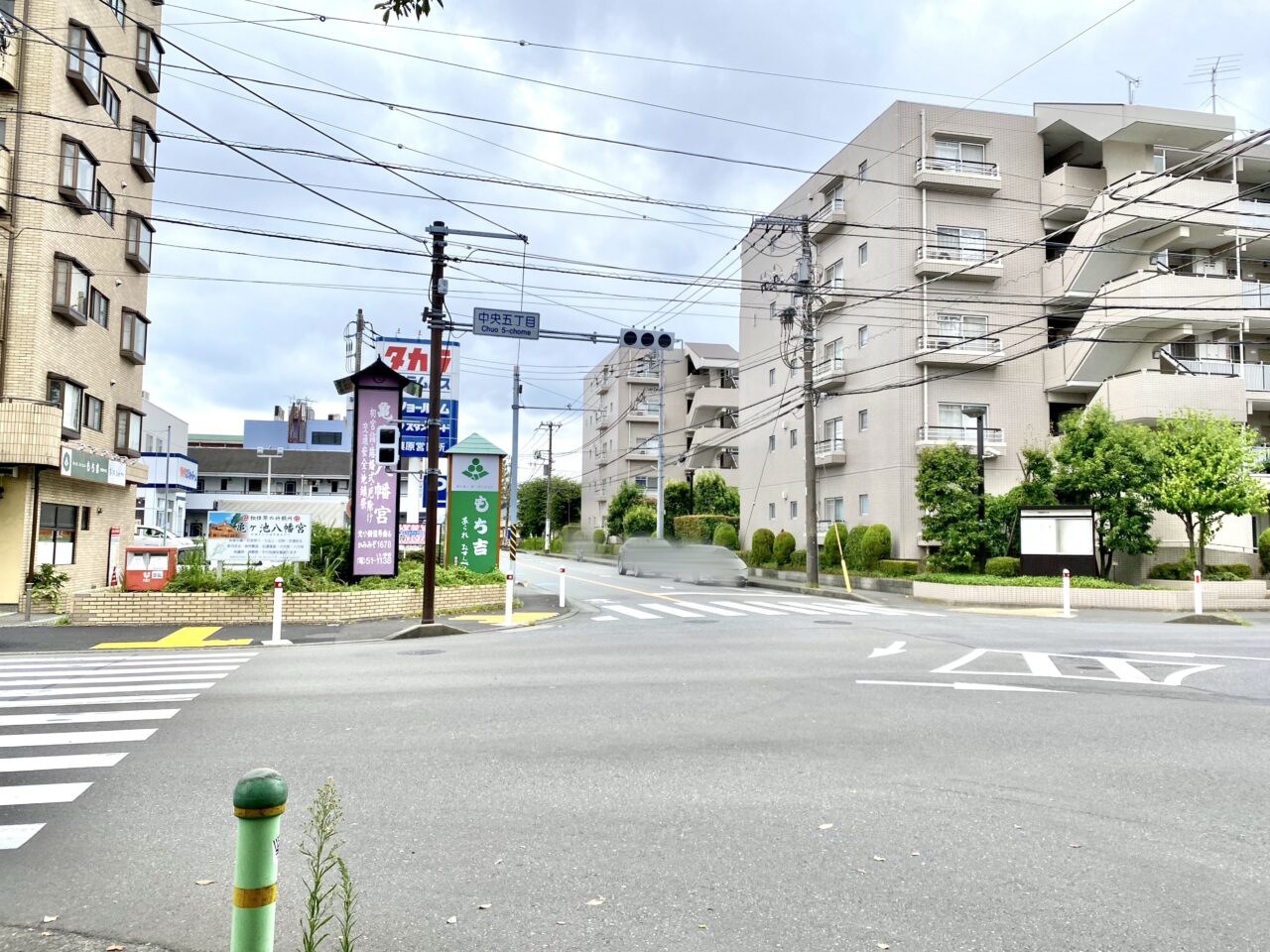 【相模原市中央区】中央5丁目の住宅街に爬虫類専門ペットショップ「Sirius」が9/6(土)に中央5丁目にオープンしました！