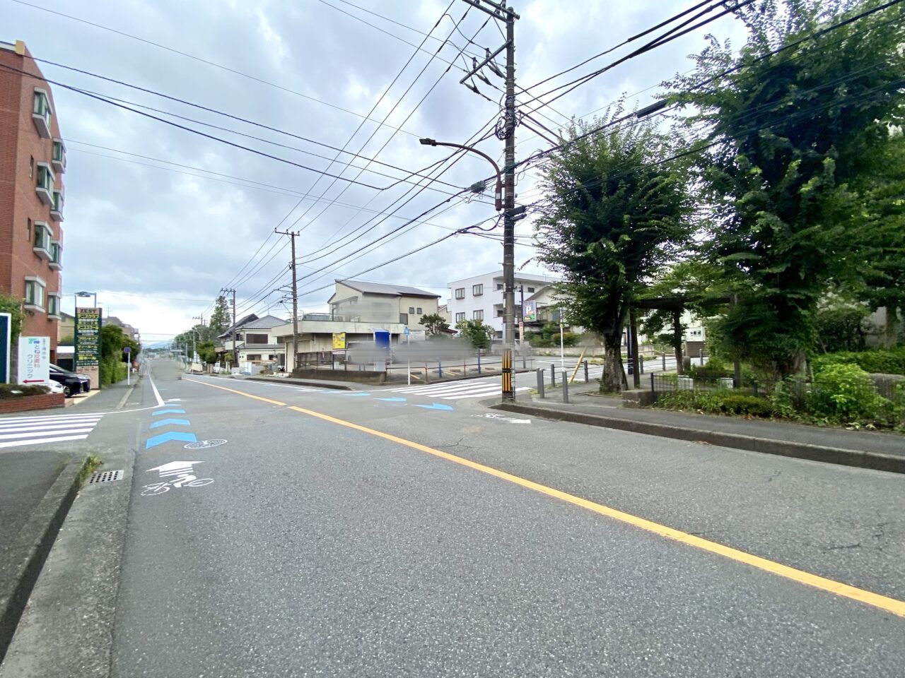 【相模原市中央区】中央5丁目の住宅街に爬虫類専門ペットショップ「Sirius」が9/6(土)に中央5丁目にオープンしました！