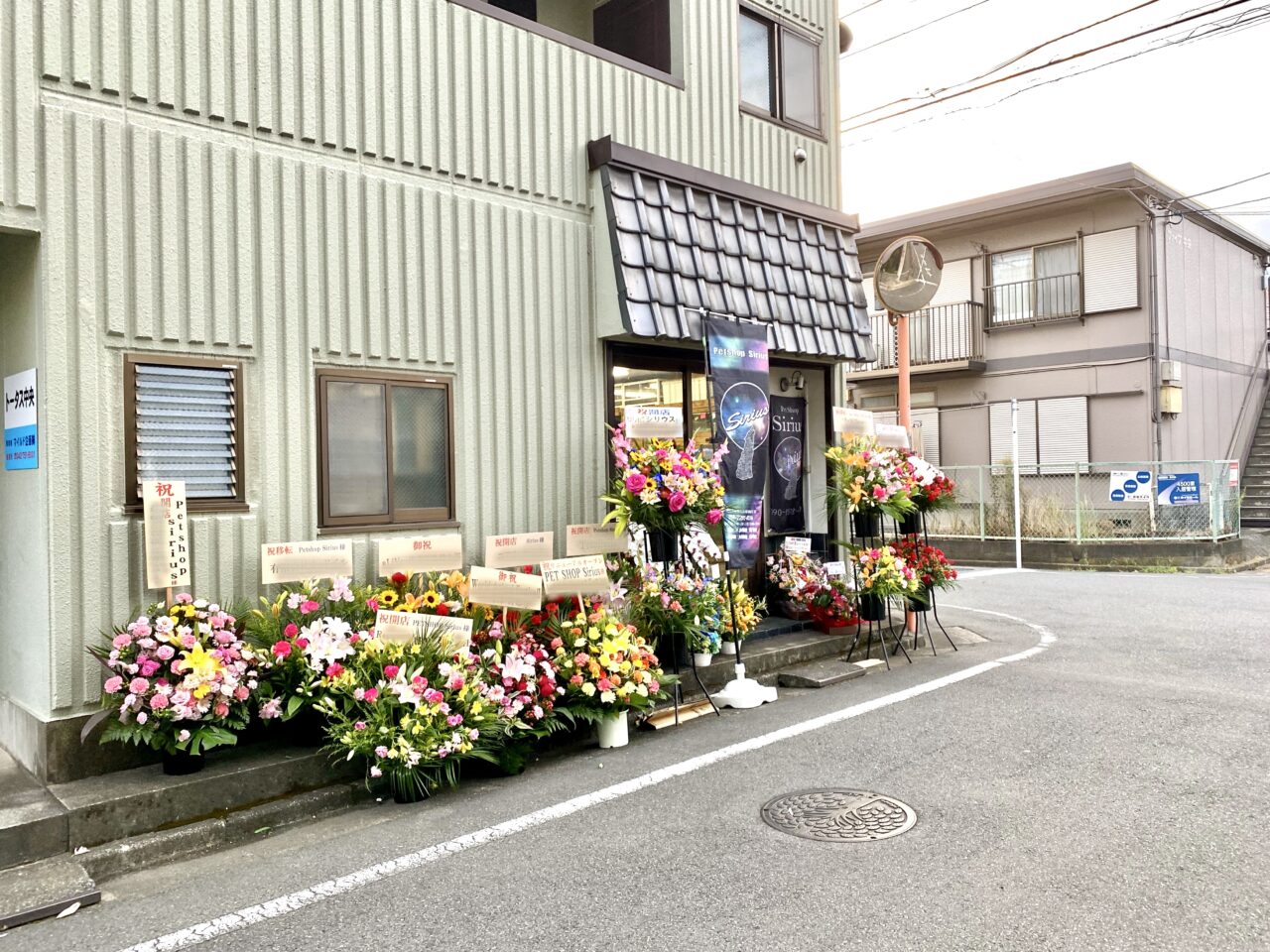 【相模原市中央区】中央5丁目の住宅街に爬虫類専門ペットショップ「Sirius」がオープンしました！9/14までオープニングセールを実施中