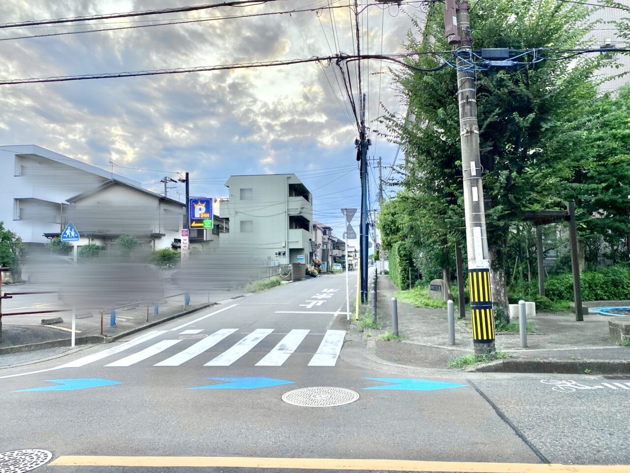 【相模原市中央区】中央5丁目の住宅街に爬虫類専門ペットショップ「Sirius」がオープンしました！9/14までオープニングセールを実施中