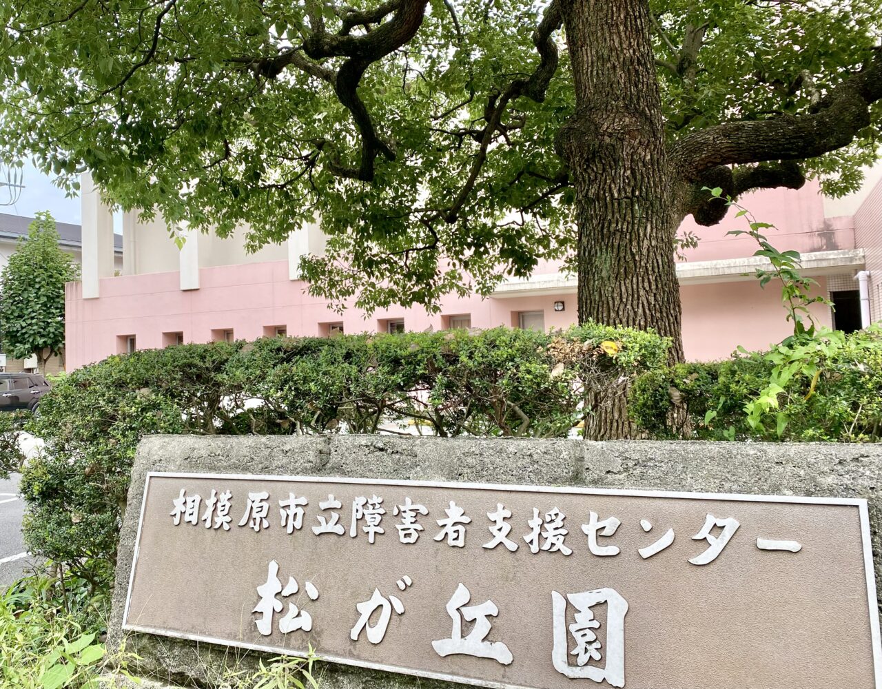 【相模原市中央区】【松が丘園】は今年で開設30周年!10/25日(土)「第28回 松が丘園祭」では記念企画「あおぞらアート」が同時開催されます