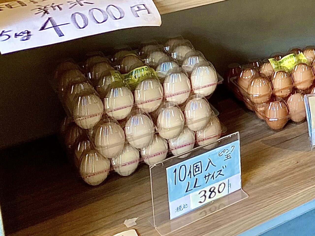 【相模原市中央区】相模原市田名の「おがわのたまご」は今年2025年で創業110周年を迎えました！ 直売所ではこだわりの新鮮卵や絶品スイーツを購入できます