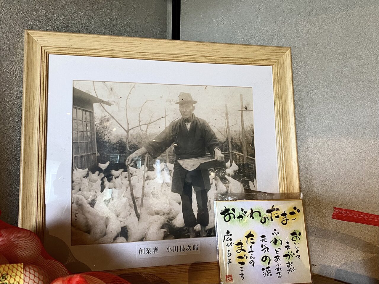 【相模原市中央区】相模原市田名の「おがわのたまご」は今年2025年で創業110周年を迎えました！ 直売所ではこだわりの新鮮卵や絶品スイーツを購入できます