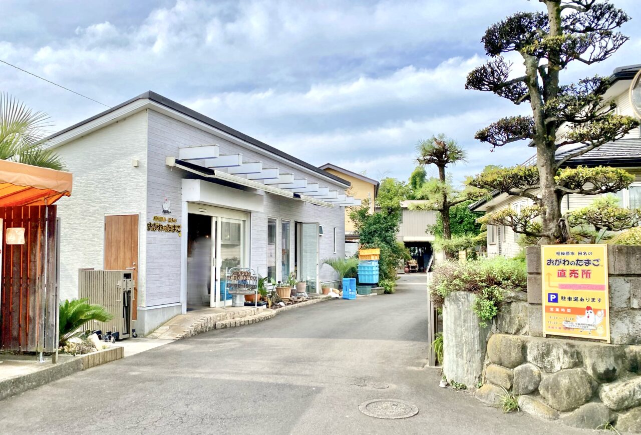 【相模原市中央区】相模原市田名の「おがわのたまご」は今年2025年で創業110周年を迎えました！ 直売所ではこだわりの新鮮卵や絶品スイーツを購入できます