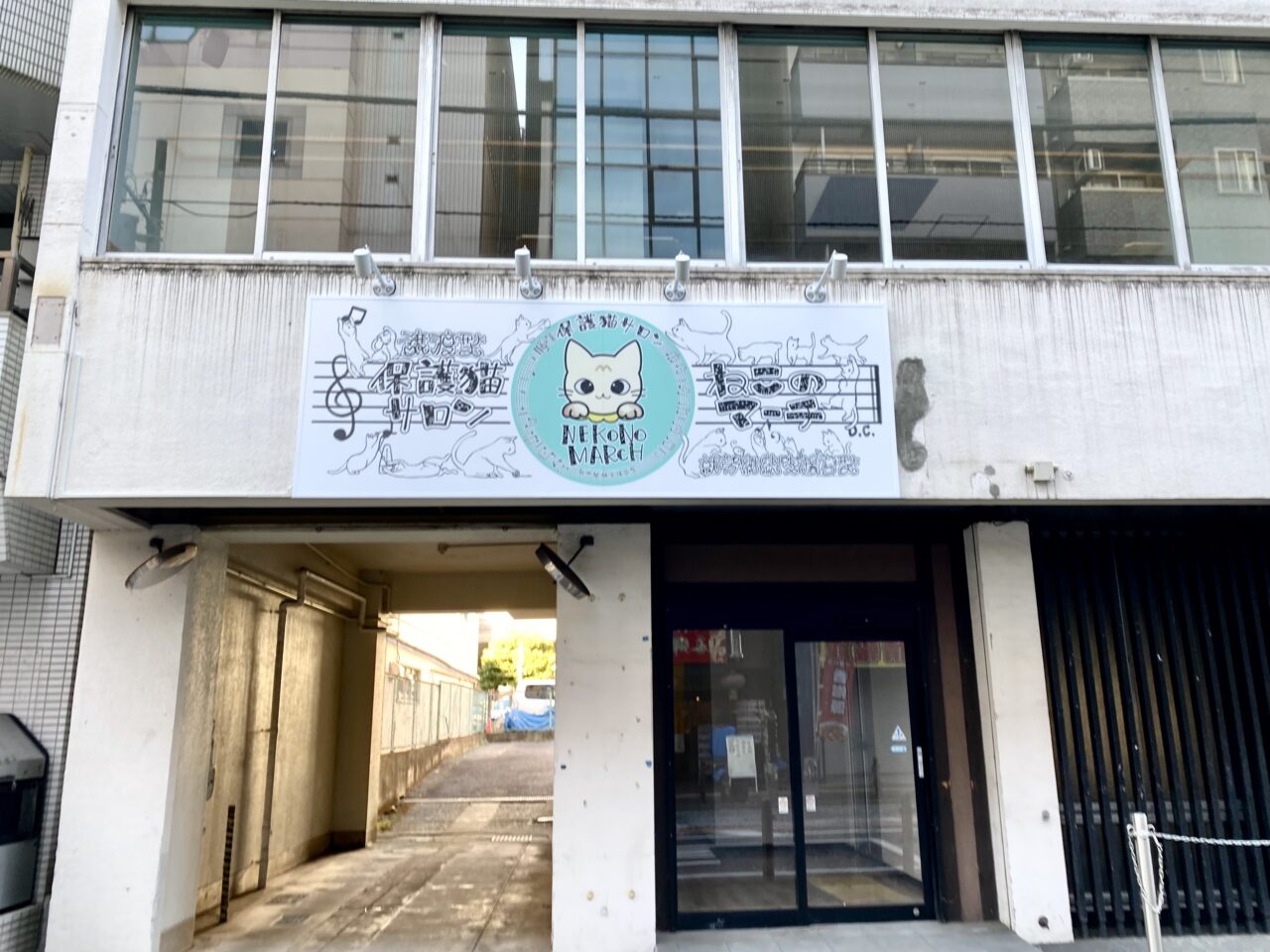 【相模原市中央区】相模原駅南口近くに、保護猫サロン「ねこのマーチ」が12月中旬頃オープン予定