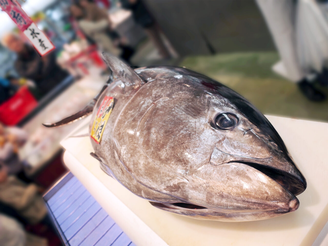 【相模原市中央区】角上魚類で新春恒例「初荷まぐろ」解体実演の開催決定! 1/5(月)に清新5丁目の「相模原店」を含め店舗限定で開催