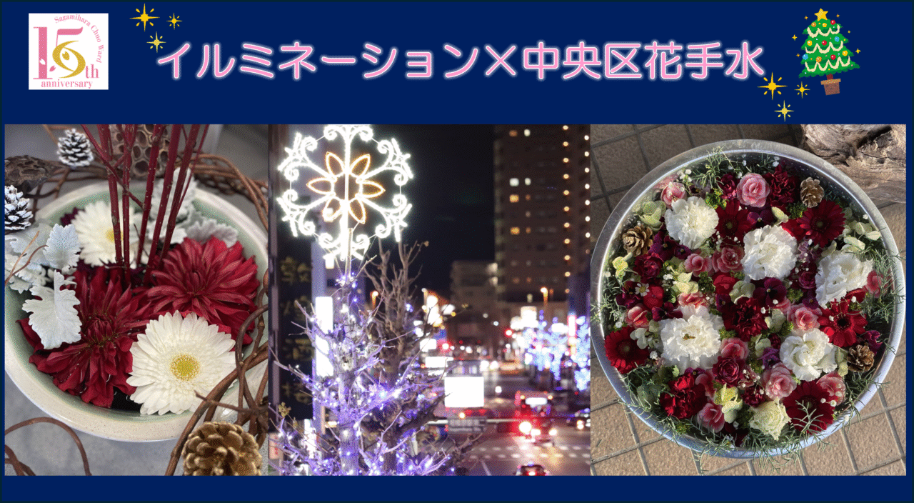 【相模原市中央区】昨年も好評だった「イルミネーション×中央区花手水」が今年も開催決定!イルミネーションとのコラボとして特別仕様の花手水も登場します