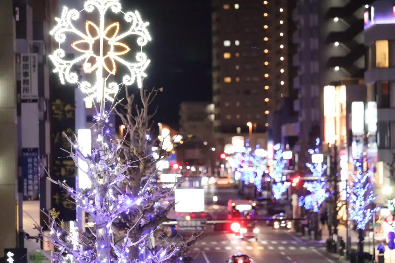 【相模原市中央区】昨年も好評だった「イルミネーション×中央区花手水」が今年も開催決定!イルミネーションとのコラボとして特別仕様の花手水も登場します